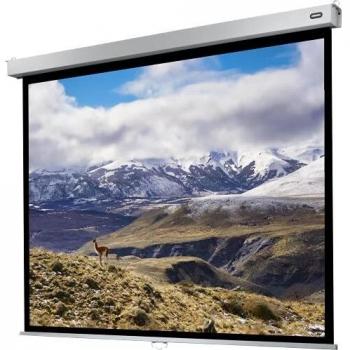 Celexon Manual Screen for Projectors