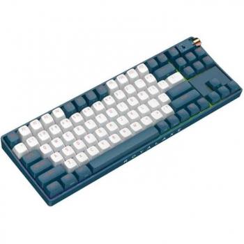 Royalaxe R87 Hot Swappable Mechanical Keyboard