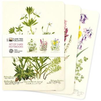 Royal Botanic Garden Edinburgh Set of 3 MIDI Notebooks