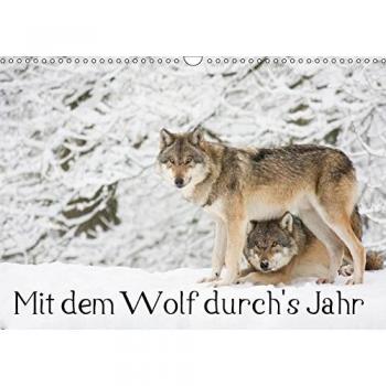 Mit dem Wolf durch's Jahr