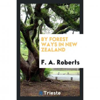 By forest ways in New Zealand