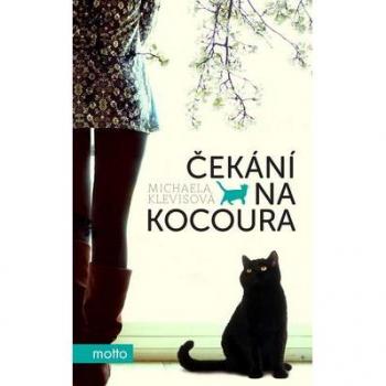 ÃÂekÃÂ¡nÃÂ­ na kocoura