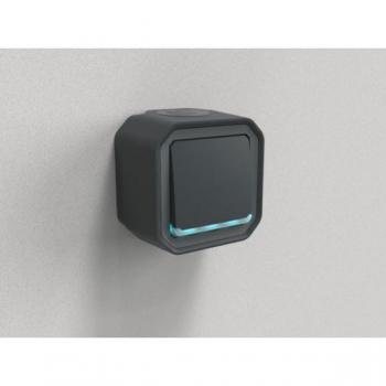 Legrand 069782L Pulsante e Interruttore Grigio