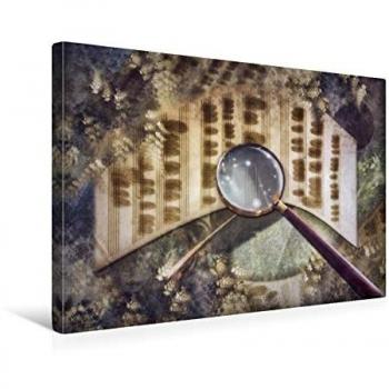 Calvendo Textil‑Leinwand im Querformat (45 × 30 cm) mit Federlesen – Garrulus Glandarius Druck