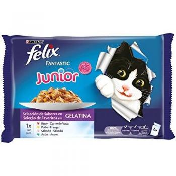 Felix 4-Pack 100g Treasure