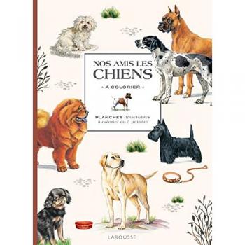 Nos amis les chiens à colorier: Planches détachables à colorier ou à peindre