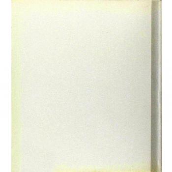 La chiesa di S. Maria Gualtieri in Pavia. Indagini, analisi, progetti e metodologie di restauro