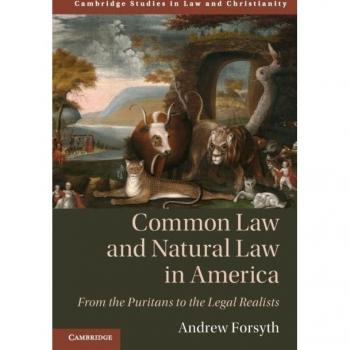 Common Law and Natural Law in America : From the Puritans to the Legal Realists