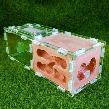 Acrylic Pet Ant Habitat