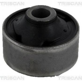 Lenkerlagerung vorne Triscan 8500 13812
