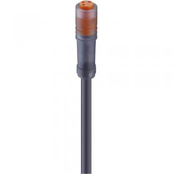 Lumberg Automation M8 Connector Cable, 4-Pole, Straight, 2.00 m