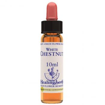 Bach Rock Water Flower Remedy 20ml