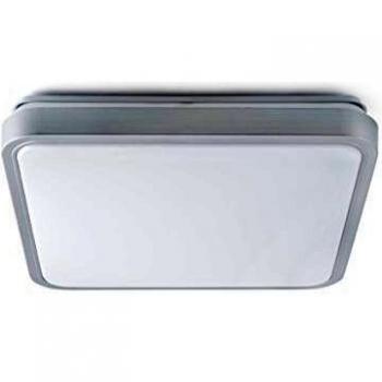 Iris LED Ceiling Light Grey and White