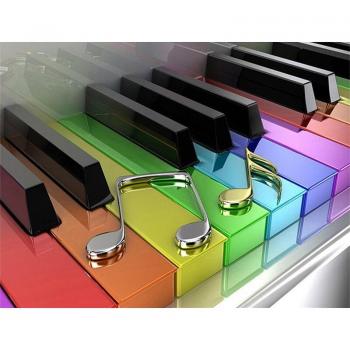 Kit Completo de Pintura de Diamante Piano 20X30CM