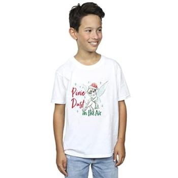 Boy’s Disney Tinker Bell T-Shirt, White, Ages 5-6