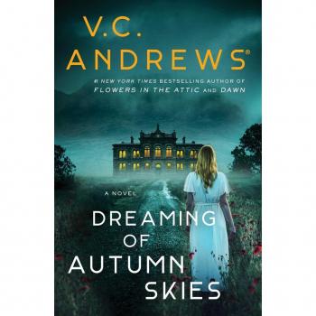 Dreaming of Autumn Skies : Volume 3