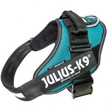 Julius-K9 IDC Powergeschirr Größe 2 Petrol-Grün