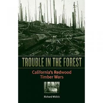 Trouble in the Forest by Richard Widick