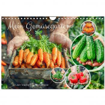 Mein Gemüsegarten