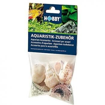 Akuastabil Set Grand de Coquilles Marine – 10 pièces, 1 kg