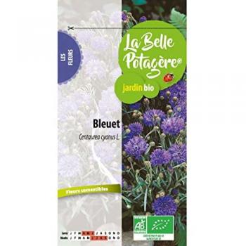 Cornflower Seed Kit – 0.6 g