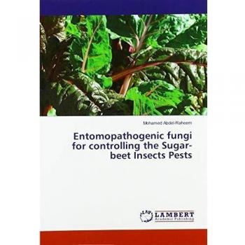 Entomopathogenic fungi for controlling the Sugar-beet Insects Pests