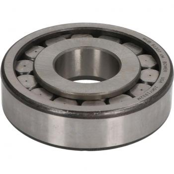 Rodamiento Cónico para Eje de Transmisión EURORICAMBI 98170347