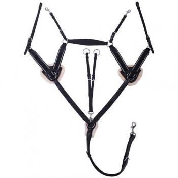 Vorderzeug Ontario von QHP