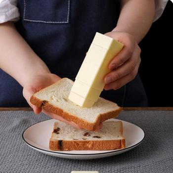 Cheese Keeper Case