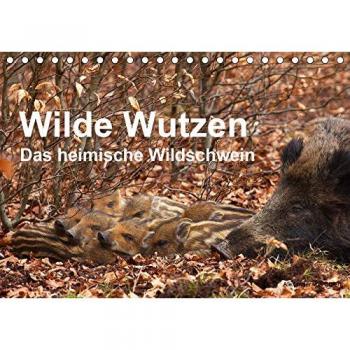 Wilde Wutzen. Das heimische Wildschwein