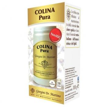 Dr.giorgini colina puro polvere solubile 100g