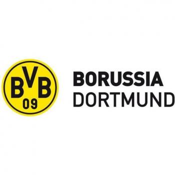BVB Logo Wandtattoo „Borussia Dortmund“ – Größe 100×33 cm, farbig, selbstklebend, abnehmbar