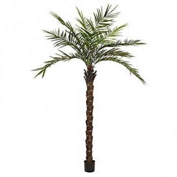 EUROPALMS Kentia Palme deluxe, Kunstpflanze 300 cm mit modernem Stamm