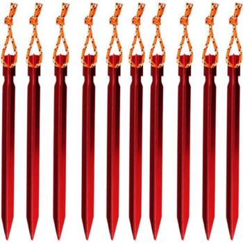 10 Pcs Tent Pegs with Rope