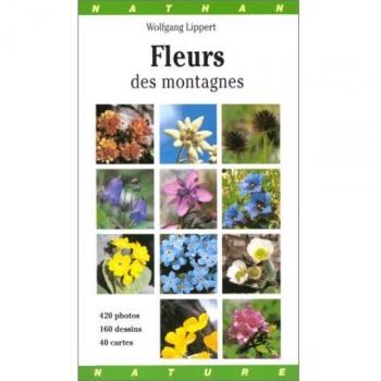 Gros plan sur les fleurs des montagnes (Guigropla)