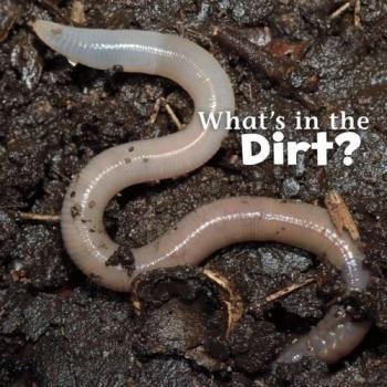 What'S In The Soil? (What'S In There?) (Library Binding)