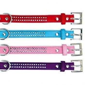 Collar Freedog FD4000353 de Polipiel Rojo
