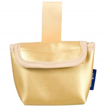 Difrax Pochette Sucette Or 1 unité