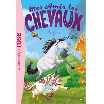 Mes amis les chevaux 30