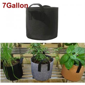 7 Gallon Aardappel