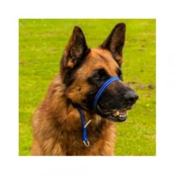 Blue‑White Combo Dog Guide – All‑in‑1