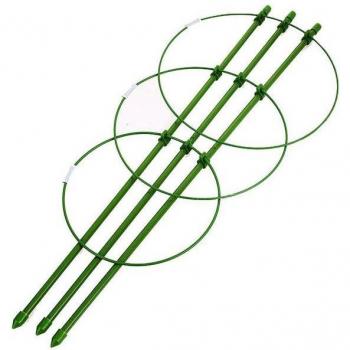 Rings Vine Cage