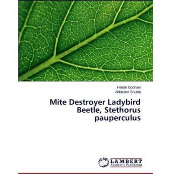 Mite Destroyer Ladybird Beetle, Stethorus pauperculus