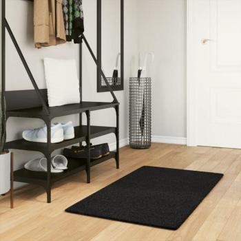 Torana Tapis Doux et Lavable 60x110 cm