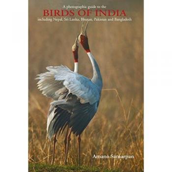 Birds Of India: Including Nepal, Sri Lanka, Bhutan, Pakistan & Bangladesh