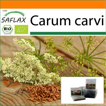 Jardin en Sac
