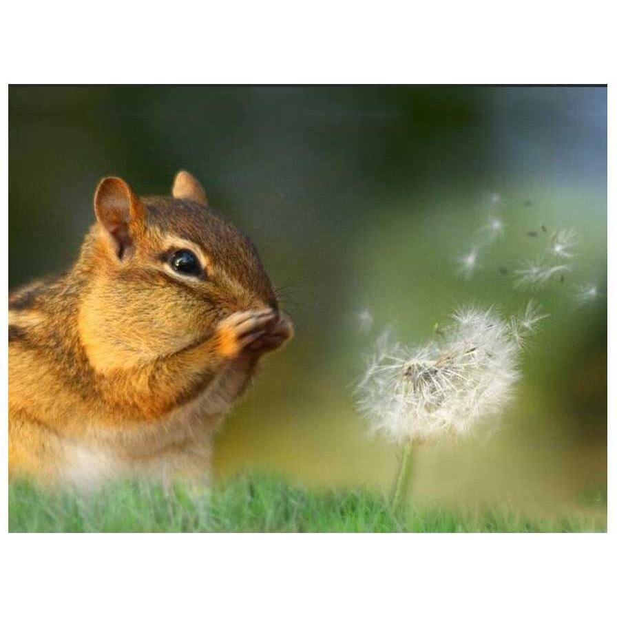#