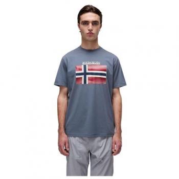 Napapijri Men's Gray Logo Print 2XL Tee