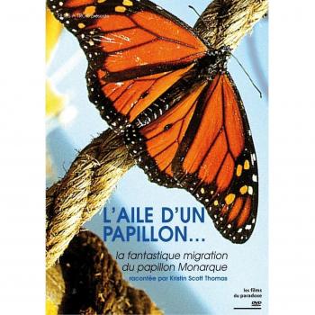 L'Aile d'un papillon...