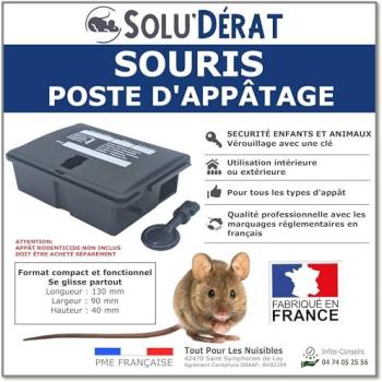 Poste Antirongeurs Éco-Protection sans Poisson